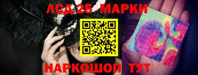Альфа ПВП Можга
