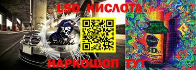 Альфа ПВП Можга