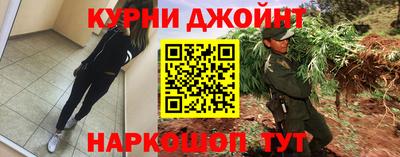 Альфа ПВП Можга