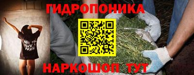 Альфа ПВП Можга