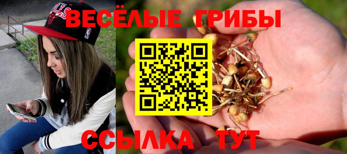 Галлюциногенные грибы Magic Shrooms  Вход с VPN  Владивосток 