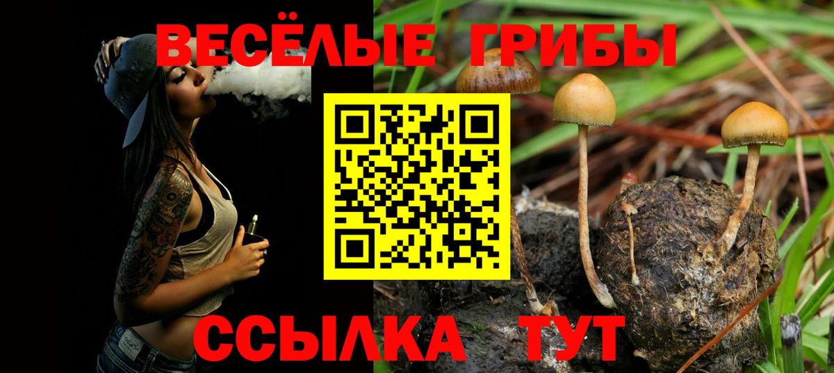 Псилоцибиновые грибы мухоморы Владивосток